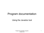 Program documentation