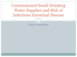Contaminated Small Drinking Water Supplies and Risk of Infectious