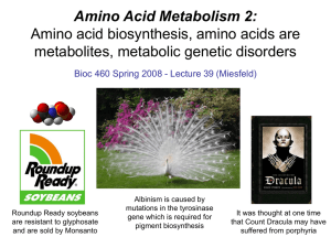 Lecture 39 - Amino Acid Metabolism 2