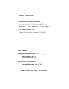 prions lecture notes