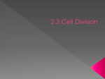 2.3 Cell Division