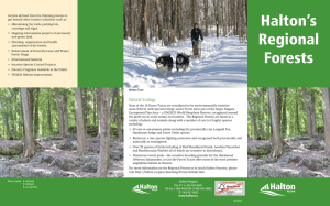 Halton`s Regional Forests