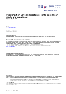 Depolarization wave and mechanics in the paced heart : model and