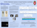 The Effect of Bythotrephes longimanus on Copepod Populations in