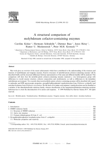 A structural comparison of molybdenum cofactor