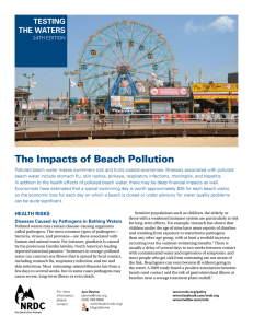 The Impacts of Beach Pollution