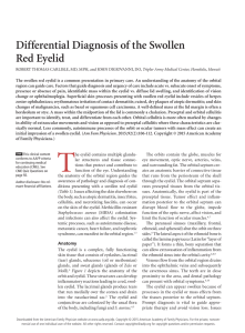 Differential Diagnosis of the Swollen Red Eyelid