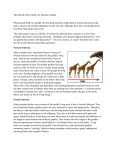 The Stretch of the Giraffe, by Ismenia Castelan - mhs