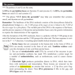 The purines In DNA, the pyrimidine bases are