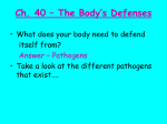 Chapter 40 – Body`s Defense