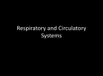 Respiratory and Circulatory Systems