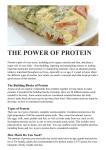 the power of protein