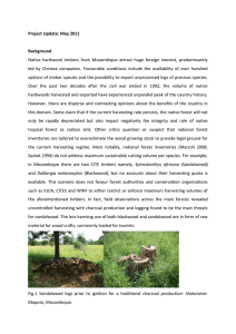 Timber trade in Mozambique versus protected timbers