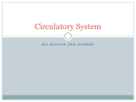 Circulatory System KM