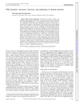 CBS domains: structure, function, and pathology in human proteins