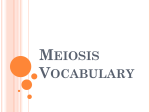 Add Meiosis Vocabulary to notes