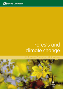 Forests and Climate Change