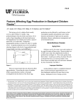 Factors Affecting Egg Production in Backyard Chicken