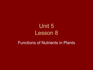 Unit 5 Lesson 8