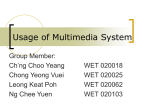 Usage of Multimedia System