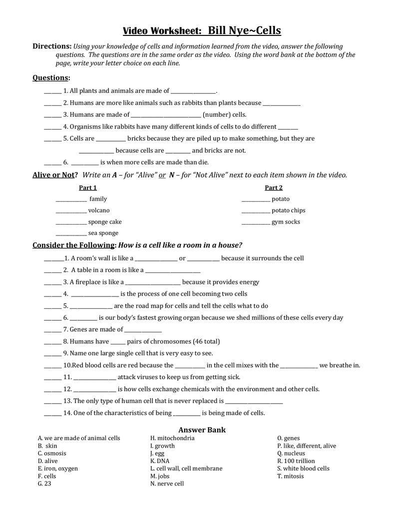 Bill Nye Biodiversity Worksheet Answers