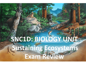 Ecology Review