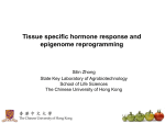 Tissue specific hormone response and epigenome