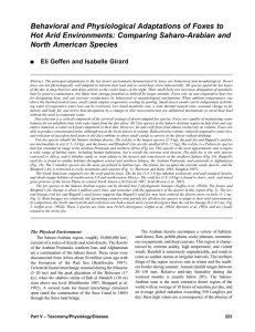 Behavioral and Physiological Adaptations of Foxes to Hot Arid