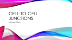 Cell-to-cell junctions