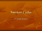 Nutrient Cycles - drakepond8thgradescience