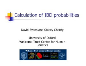 Calculation of IBD probabilities