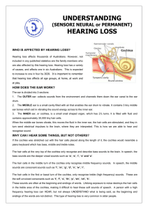 understanding hearing loss - Audiometry Nurses Association of