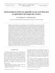 Interrelations between planktivorous reef fish and