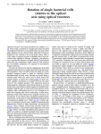 Rotation of single bacterial cells relative to the optical axis using