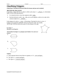 Classifying Polygons