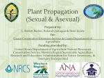 Plant Propagation Presentation - Guam Sustainable Agriculture