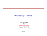 Dynamic Logic Families