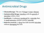 Antimicrobial Drugs