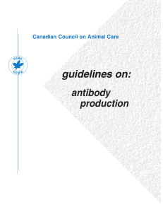CCAC guidelines on: antibody production, 2002