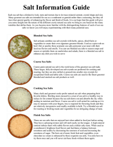 Salt Information Guide