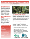 Mature Forest Ecosystem Fact Sheet