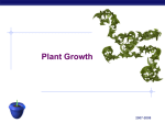 Plant Growth - Biology Junction