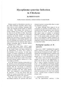 Mycoplasma synoviae Infection in Chickens