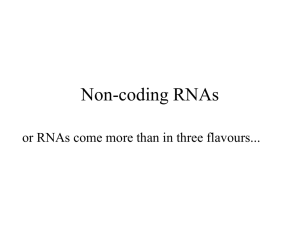 Non-coding RNAs - Structural Biology Labs