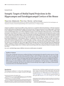 Synaptic Targets of Medial Septal Projections in the Hippocampus
