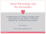 Heart Physiology and the Pacemaker
