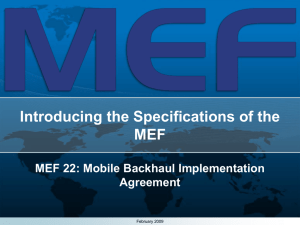 An Overview of the MEF