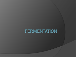 Fermentation - Peoria Public Schools