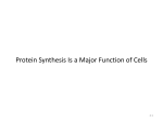 Protein Synthesis Is a Major Function of Cells