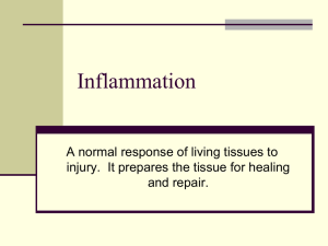 Inflammation